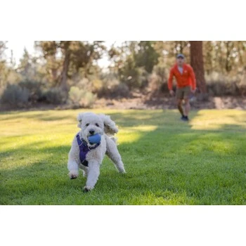 Ruffwear Huckama™ Spielzeug Violett 8 Ruffwear Huckama™ Spielzeug Violett – Bild 6