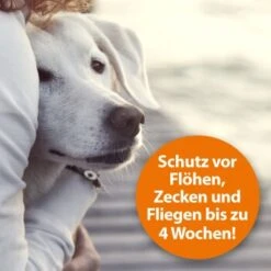 Ardap Flohspray Zur Anwendung Am Tier 250ml -Tierbedarfs Rabatt Geschäft 1e38b7747570a91b3fd009f3974005664ac2d015 1227735 de DE 3ce23e78efb3686272f02c09e5ca6ade74ba7902gmBWUo