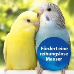 Quiko Biotin M 150 G: Unterstützt Die Mauser Von Ziervögeln 8 Quiko Biotin M 150 G: Unterstützt Die Mauser Von Ziervögeln -Tierbedarfs Rabatt Geschäft 1edb379122303e5bd6851c962595f5914d97ad79 1386532 de DE d423967889f663d8a9511c722121183787861b26YUo6R2