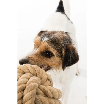 Trixie BE NORDIC Tau-Ball 18cm 6 Trixie BE NORDIC Tau-Ball 18cm – Bild 4