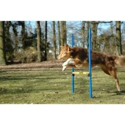 Dobar 3-teiliges Agility Sprung-Set,, Inkl. Tragetasche -Tierbedarfs Rabatt Geschäft 23438a1c89953580debb447a4f2a6705cf109122 9daba483a29d35b05cf9df2cf0269c15e7db3ed2