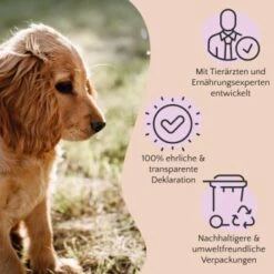 FAVLY Petfood PURE Bites Hirsch 360 G -Tierbedarfs Rabatt Geschäft 236dbc85f5fb75ec5fb4367bde1445e3087ffdcd 1474003 de DE 80624b888460a5c29f043365a19496292e44fd84TlIvR8