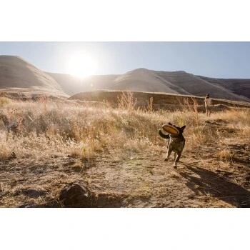 Ruffwear Hover Craft™ Spielzeug Orange 8 Ruffwear Hover Craft™ Spielzeug Orange – Bild 6