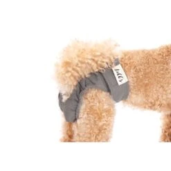 Lills Läufigkeitshöschen "Lou" Pink Berry Grau XXL 9 Lills Läufigkeitshöschen "Lou" Pink Berry Grau XXL -Tierbedarfs Rabatt Geschäft 2510182477e0473189522ab4c4eec9318a5ab186 1662393 de DE e81483ca839e45ba2b9fb54d71ddd02dbfa55b06LbZw0y