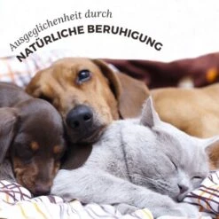 Aniforte Bachblüten Protest -Tierbedarfs Rabatt Geschäft 2588226ebcbbd40f01b907ef368da65b2a00ff55 1480465 de DE 3ebd76937caa06852ee58c852a369637b3a50c858P4hCz