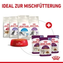 ROYAL CANIN SENSORY Smell In Gelee Für Wählerische Katzen 12x85g -Tierbedarfs Rabatt Geschäft 25c7f2b0017090b05172a164b94d24299f626039 5b9b3776479c43ed4449b8634046c65b7d96c1fe