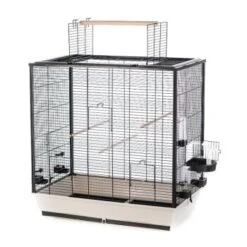 Interzoo Vogelkäfig Fiona -Tierbedarfs Rabatt Geschäft 270bf538e1354d7be12430d821ca4cb385533cee 67f89b09372bf74cf7ad6b811afeab9b854cb15d