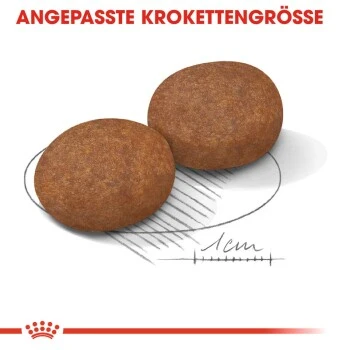 ROYAL CANIN Medium Adult 7+ 15 Kg 5 ROYAL CANIN Medium Adult 7+ 15 Kg – Bild 3