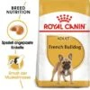 ROYAL CANIN Französische Bulldogge Adult 9 Kg 1 ROYAL CANIN Französische Bulldogge Adult 9 Kg -Tierbedarfs Rabatt Geschäft 28a9c2ebd874366b443fd9679403ab3cdbeda15d 0c7f34bd494e1bbfa0c20fedec846498ffd5d50c