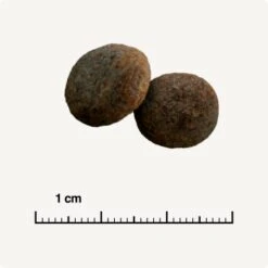 SELECT GOLD Sensitive Maxi Junior Lamm/Lachs/Kartoffel 4 Kg -Tierbedarfs Rabatt Geschäft 28af395c49e943aa9ab48faf021ceebb2dad145e 1001718003 de DE 6