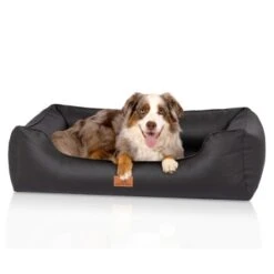 Knuffelwuff Orthopädisches Hundebett Montana Aus Kunstleder Schwarz M-L 9 Knuffelwuff Orthopädisches Hundebett Montana Aus Kunstleder Schwarz M-L -Tierbedarfs Rabatt Geschäft 28bd0f32b8e066fb3bb020d5ad220a1937d75ced 1412170 de DE 7311c0c4c8e49d71195954eef00a36c1518080fd4vE1hu