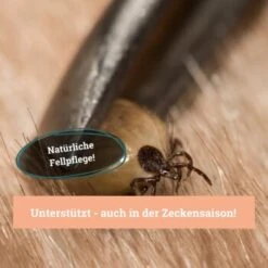 BeG Buddy Fellspray Zecke 11 BeG Buddy Fellspray Zecke -Tierbedarfs Rabatt Geschäft 297119792bee87c54c4080010b8d6149223d300c 1457254 de DE b0426d8711049b0aafb9b17aaa93a89672536d279Kmo8x