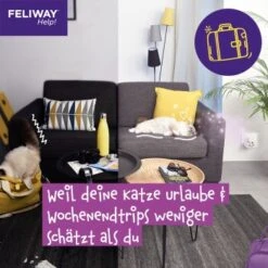 Feliway Help! 3x Nachfüllkartusche Zur Stressreduzierung 21 Feliway Help! 3x Nachfüllkartusche Zur Stressreduzierung -Tierbedarfs Rabatt Geschäft 29ae770ba9b7f1bf9cec9031f7a2f9aa2f9f9bf4 1380137 6