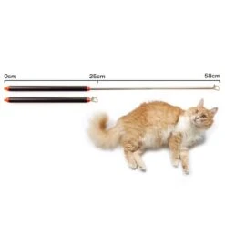 Schlitzohr Stabile Katzenangel Arnold -Tierbedarfs Rabatt Geschäft 2b03aaa8061d454c3b132f3d29075b579f022315 1484671 de DE 4db6a969e0582cf4b987acff93cb66c6c6149da6OAB1hx