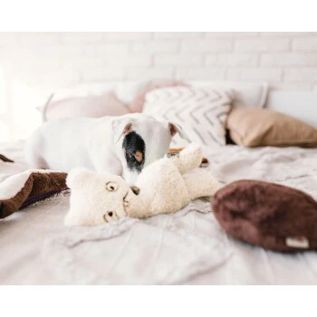 Freudentier Nachhaltiges Hundespielzeug Daniel 4 Freudentier Nachhaltiges Hundespielzeug Daniel – Bild 2