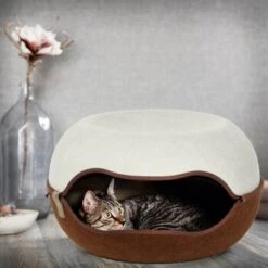 Canadian Cat Company Filz Katzennest 2.0 Weiß -Tierbedarfs Rabatt Geschäft 2d709df44822ed1c554e77257ea4f2826b7f6ee6 1412670 de DE f4bc2f42c404e1ae32cb86346c8e995f0178b889j3OAow