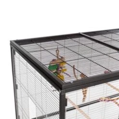 Montana Cages Voliere Paradiso 120 Hellgrau/ Dunkelgrau -Tierbedarfs Rabatt Geschäft 2e3ca700ad43b5e6ad054652593895430f2b22d4 1200893 de DE 3f754a7b02eaf44e552bfbe47dafdc8fb7b1d1f8yzvZoM