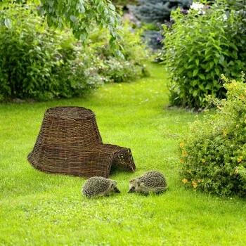 AniOne Igelhaus 4 AniOne Igelhaus – Bild 2