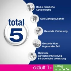 PERFECT FIT Adult 1+ Huhn M/L 6kg 11 PERFECT FIT Adult 1+ Huhn M/L 6kg -Tierbedarfs Rabatt Geschäft 2fa8d81f99e9dbbb6fedba415940c79543068f38 1342010 de DE Total 5
