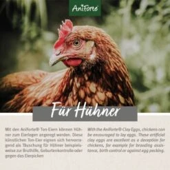 Aniforte Toneier 6er Pack 10 Aniforte Toneier 6er Pack -Tierbedarfs Rabatt Geschäft 2fca7168177239da75d03f74fa4a1c77159cd287 1489433 de DE 7085a1a388f1f237d3be86504bf98fc686ff7ec2o1r7t3