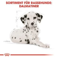ROYAL CANIN Dalmatian Puppy 12kg -Tierbedarfs Rabatt Geschäft 3036b86ea4ce88871062b93c88ca9a8de810c8ed 68024b37a164808455acf8365f33d66401b0231f