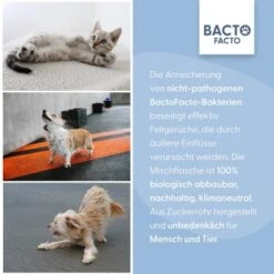 BactoFacto Fellpflege Spray 15 BactoFacto Fellpflege Spray -Tierbedarfs Rabatt Geschäft 30b14586b3a3474b0cfce5fc7df4afffc88c5118 1408996 de DE 0500f7acce4be40f22c19f011f98967543a70717VmmbpR