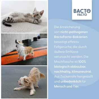 BactoFacto Fellpflege Spray 8 BactoFacto Fellpflege Spray – Bild 6