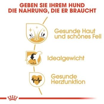 ROYAL CANIN Cocker Adult 12 Kg 9 ROYAL CANIN Cocker Adult 12 Kg – Bild 7