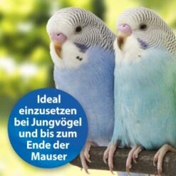 Quiko Plus 400 G: Extra Proteine Für Jungvögel 10 Quiko Plus 400 G: Extra Proteine Für Jungvögel -Tierbedarfs Rabatt Geschäft 3190f3828e35083694537fdd840250512177f97d 1386524 de DE a58e247c1fb3092732f92fc759d1dabd3a4811c5GIUhYl