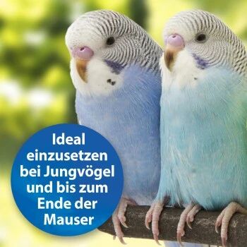 Quiko Plus 400 G: Extra Proteine Für Jungvögel 6 Quiko Plus 400 G: Extra Proteine Für Jungvögel – Bild 4