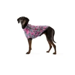 Ruffwear Climate Changer™ Fleece-Jacke Für Hunde Lila/ Grau XS -Tierbedarfs Rabatt Geschäft 31d08c48d82e56fa988a8efaad00ce115bf58a1e 1369648 de DE 0f7eaefedef9dc647cc2252d60c10845d7c68c4e58IpMU