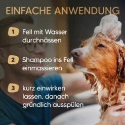 Pawlie's Hundeshampoo Für Langhaar -Tierbedarfs Rabatt Geschäft 31fb70412552456c4a02729fa462588fcf0d4e5b 1626203 de DE 25d5ddf898b492fba858f49f2f6f7a8a36500b93qNDG8c