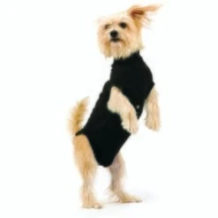 Trovet Hundebody Recovery Suit Schwarz XXS -Tierbedarfs Rabatt Geschäft 32b188fe2b1d79c98c3d705ed0768a2dea55c852 c9c58232ac385af15a91fd1318f8583c048209d5