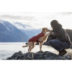 Ruffwear Overcoat™ Hundejacke Rot M 14 Ruffwear Overcoat™ Hundejacke Rot M -Tierbedarfs Rabatt Geschäft 32b81091541e421621a809b75c62062d90eca320 1369977 de DE e6611e4bd31113b7d836455a75813df21f681f8eLLYoOv