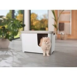 MORE FOR Katzentoilette XXL Titan 10 MORE FOR Katzentoilette XXL Titan -Tierbedarfs Rabatt Geschäft 331a65ecbdbda6a54304894f23caf93293414f9a 41a7dcb3b92b8da7531785b268f381c1b25bbf04