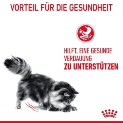 ROYAL CANIN Digestive Care 10 Kg -Tierbedarfs Rabatt Geschäft 33836b78e4dfe5d72c6cf6742ac3f6af2f72a25c 1084985 4