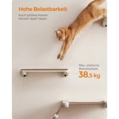 FEANDREA Clickat Katzenbrett Für Die Wand -Tierbedarfs Rabatt Geschäft 338ade66aef20441d84c6879cbb7cdd9f229234a 1681427 de DE 49f3284dc1e7752ec473d61a07cc5870214b5201yzDhq7