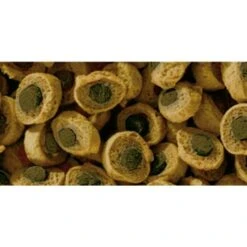 Sera Reptil Professional Herbivor 1l 7 Sera Reptil Professional Herbivor 1l -Tierbedarfs Rabatt Geschäft 33c2925ba9c36a695e8a5914642f86a3e39341fc 5af89bea59813cd06ba625fcfeb0ec2e8e3bfcd7