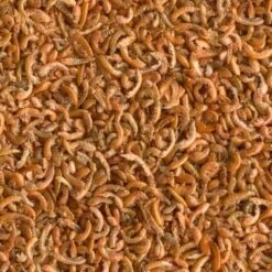 Tierbedarfs Rabatt Geschäft -Tierbedarfs Rabatt Geschäft 33da86f920a07779d40be5611a01548a8f2ffed8 9d49031bbce5515244b360fbb3a40882cf320f7f