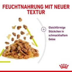 ROYAL CANIN SENSORY Smell In Gelee Für Wählerische Katzen 12x85g -Tierbedarfs Rabatt Geschäft 3469e2789c9f64bff26f87bbac39ba0a4ed440ea 45f33cf5dbb691236fc67f7b11a07842abb35bb4