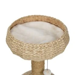 AniOne Kratzbaum Anzo -Tierbedarfs Rabatt Geschäft 351c483b7633d98114272dd6abd14775154252bf 22d484b588e021fa65a862261d472ada2c49384c