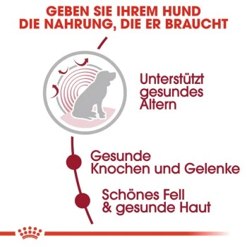 ROYAL CANIN Medium Ageing 10+ 15 Kg 8 ROYAL CANIN Medium Ageing 10+ 15 Kg – Bild 6