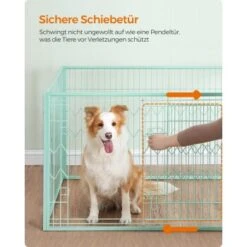 FEANDREA Welpenauslauf 4-teilig Schwarz Mintgrün 14 FEANDREA Welpenauslauf 4-teilig Schwarz Mintgrün -Tierbedarfs Rabatt Geschäft 35628eced21c5b790a038ff766d6461fd7692ef2 1500915 de DE 85cc3af176bad61013c5779ea5a3c5652966689aKZhajB