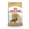 ROYAL CANIN Cocker Adult 12 Kg 2 ROYAL CANIN Cocker Adult 12 Kg -Tierbedarfs Rabatt Geschäft 35b692965af79cafa0db2d2124d40d0740ee8bc1 1061209 de DE RCneu
