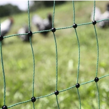 Kerbl Geflügelnetz 25m 4 Kerbl Geflügelnetz 25m – Bild 2