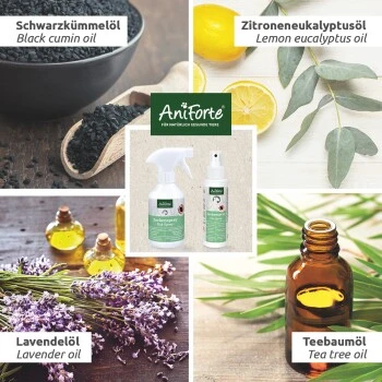 Aniforte Zeckenspray Für Hunde 250ml 5 Aniforte Zeckenspray Für Hunde 250ml – Bild 3