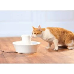 PetSafe Drinkwell Keramik Trinkbrunnen Avalon 2 Liter -Tierbedarfs Rabatt Geschäft 3618eec03b36d11fdf7febc663118c99bc340b4b f5e5469eaf28f5dde47584cc4650de1704a74254