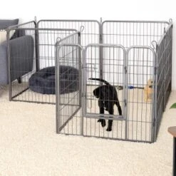 Lionto Freilaufgehege Welpen Gitterfreil 60 Cm, 1 Cm, 80 Cm -Tierbedarfs Rabatt Geschäft 36b609c51e916046b581efda5ea6811e2c829bd8 1498016 de DE 794da90c9076c5cc9e9eae67a633691d7c219be8EE6Vlo