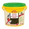 Sera KOI Color L Hauptfutter 3,8l 1 Sera KOI Color L Hauptfutter 3,8l -Tierbedarfs Rabatt Geschäft 38550a42e279ec71349951c7b073d5b4c28582f3 74af6632f0d7f47632b25b231ed83ca98d3f63f1