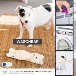 Freudentier Nachhaltiges Hundespielzeug Daniel 11 Freudentier Nachhaltiges Hundespielzeug Daniel -Tierbedarfs Rabatt Geschäft 399eb762da5db839e1d54b11a980f1adc24ffa3a 1408970 de DE 4fae29de579b316485a3de702f2c6d8ee3ac7b4f8TlZcj